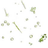 Pesticides microscopic view